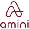 Amini