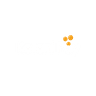Kotani Pay
